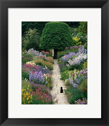 Framed Garden Cat Print