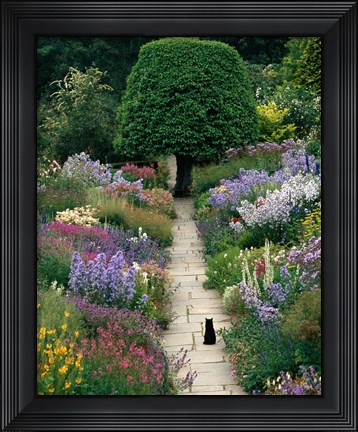 Framed Garden Cat Print