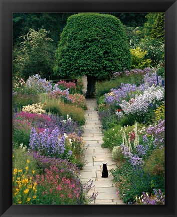 Framed Garden Cat Print