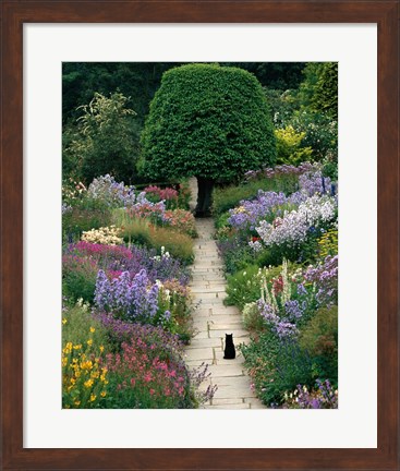 Framed Garden Cat Print