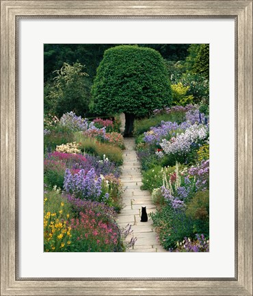 Framed Garden Cat Print