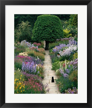 Framed Garden Cat Print