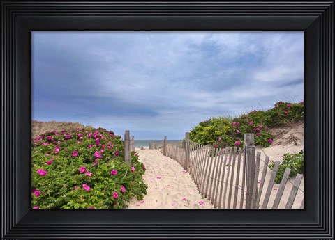 Framed Rose Path Print