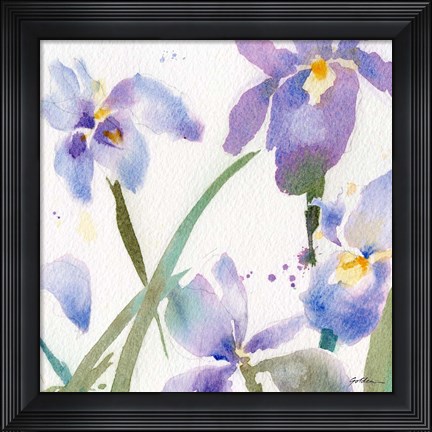 Framed Irises Print