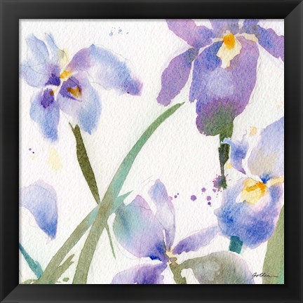 Framed Irises Print