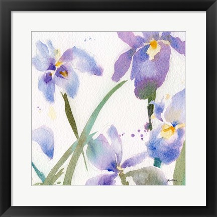 Framed Irises Print