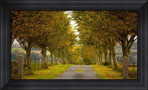 Framed Colors of Autumn Print