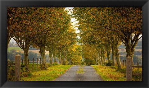 Framed Colors of Autumn Print