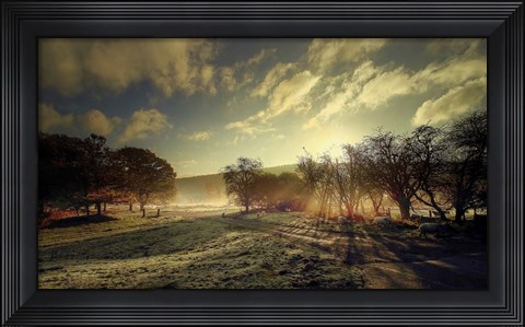 Framed Here Comes the Sun Print