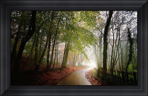 Framed Fence Print