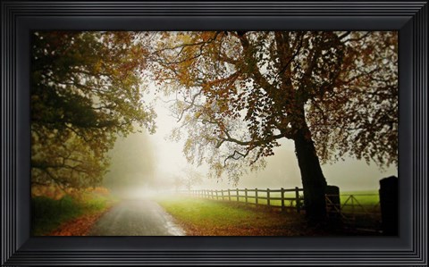 Framed Fog Print