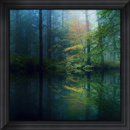 Framed Forest Print