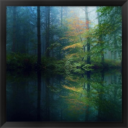 Framed Forest Print