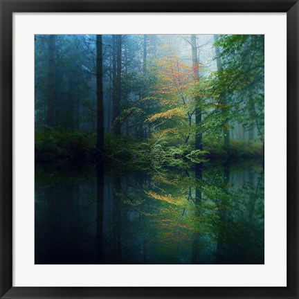 Framed Forest Print