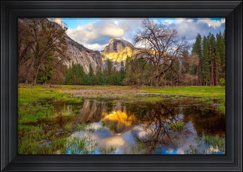 Framed Mother&#39;s Tree Print