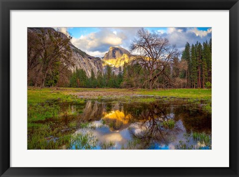 Framed Mother&#39;s Tree Print