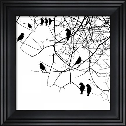 Framed Bird II Print