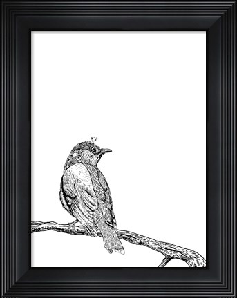 Framed Bird III Print
