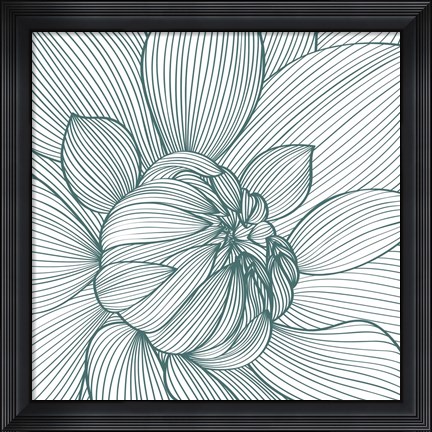 Framed Myrrhis odorata I Print