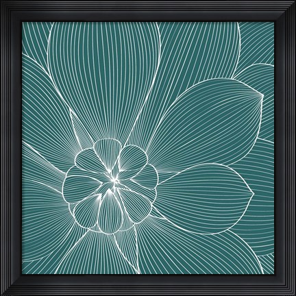 Framed Myrrhis odorata II Print