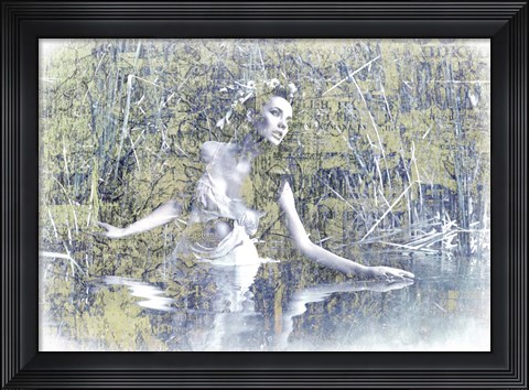 Framed Swan Lake Print