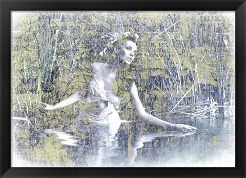 Framed Swan Lake Print