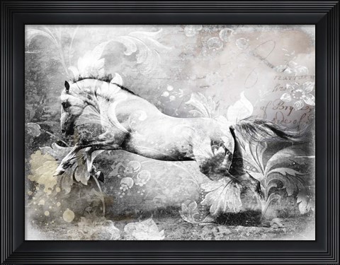 Framed White Horse Print