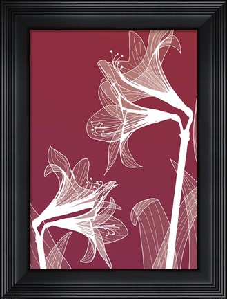 Framed X-ray Flowers Red Print