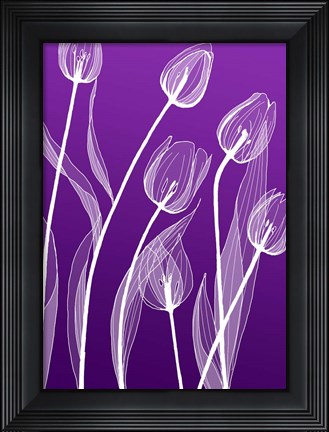 Framed X-ray Flowers Purple Print