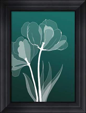 Framed X-ray Flowers Green Print