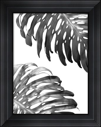 Framed Double Philodendron (BW) Print