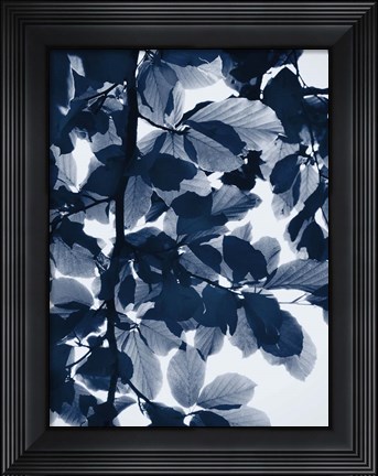 Framed Indigo Leaves Print
