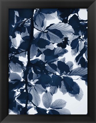 Framed Indigo Leaves Print