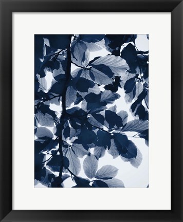 Framed Indigo Leaves Print