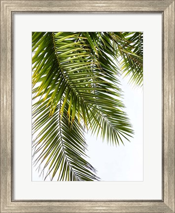 Framed Palm Leaves Print