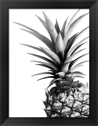 Framed Pineapple (BW) Print