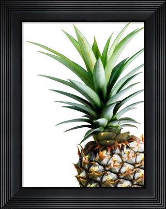 Framed Pineapple (color) Print