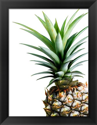 Framed Pineapple (color) Print