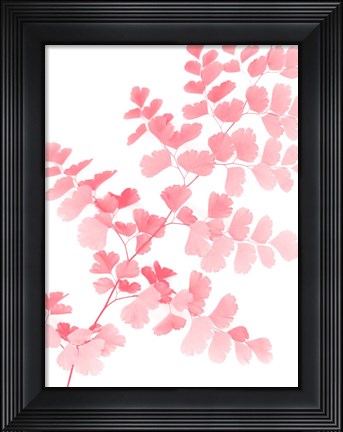 Framed Pink Maidenhair Print