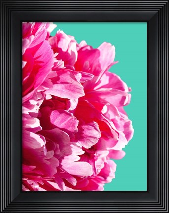 Framed Pink Peony Print