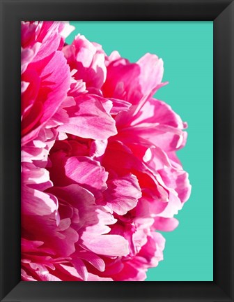 Framed Pink Peony Print