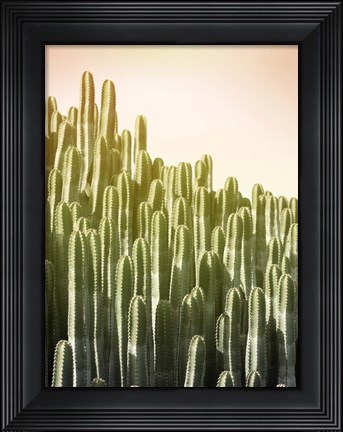 Framed Pink Sky Cactus Print