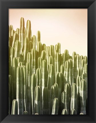 Framed Pink Sky Cactus Print