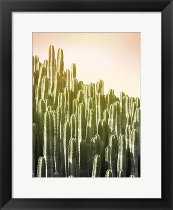 Framed Pink Sky Cactus Print