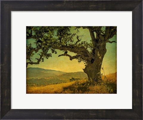 Framed Blue Oak Hilltop Print