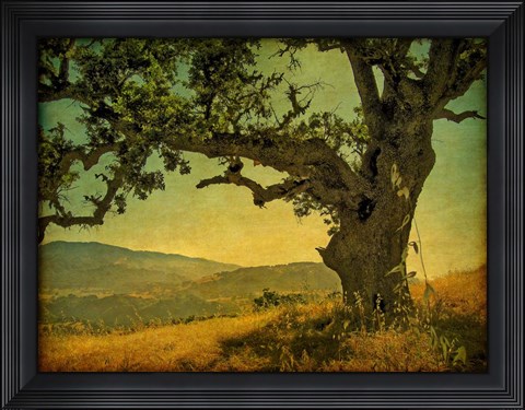 Framed Blue Oak Hilltop Print