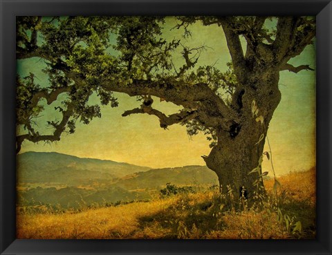 Framed Blue Oak Hilltop Print