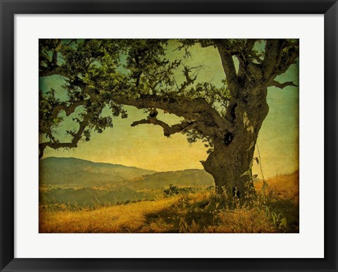 Framed Blue Oak Hilltop Print