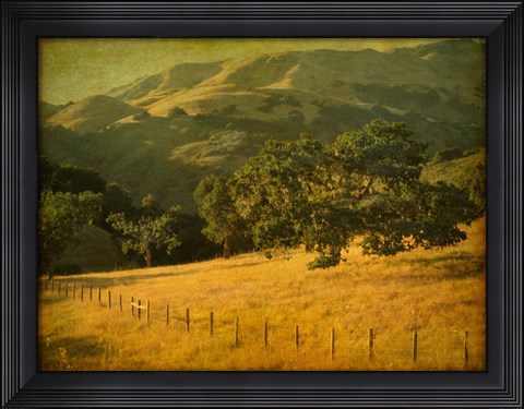 Framed Oak and Fence Print