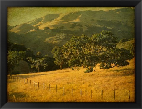 Framed Oak and Fence Print